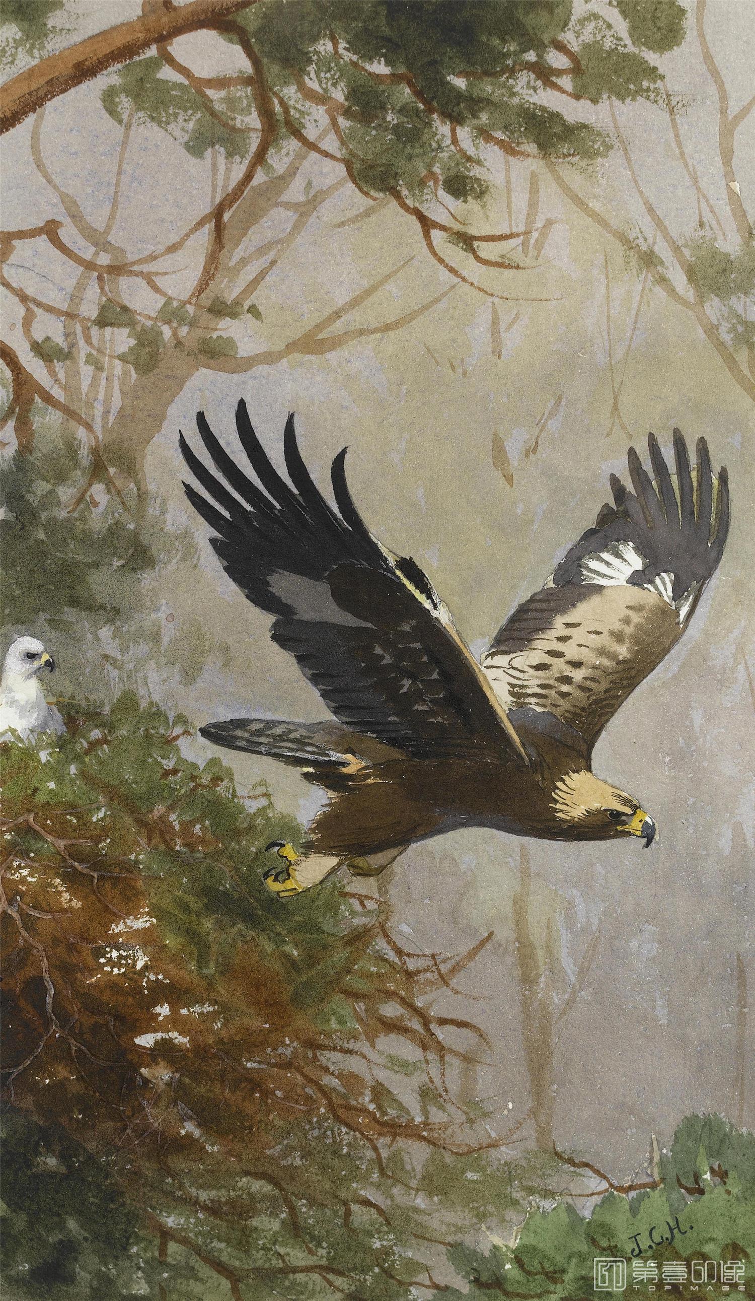 油画-约翰.赛里尔·哈里森 John Harrison作品集-082